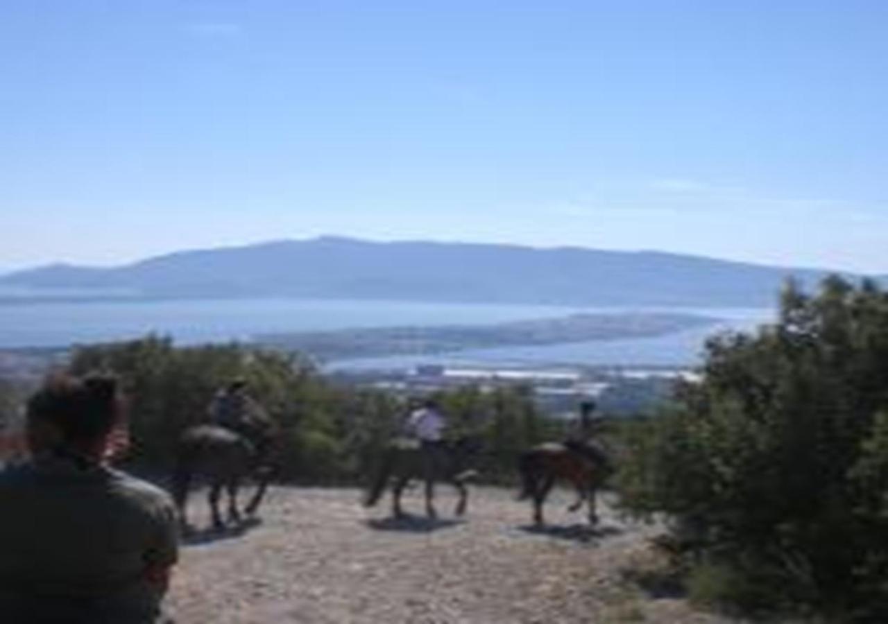 App - Il Fenicottero Con Parcheggio Gratuito Ad Orbetello Exterior foto