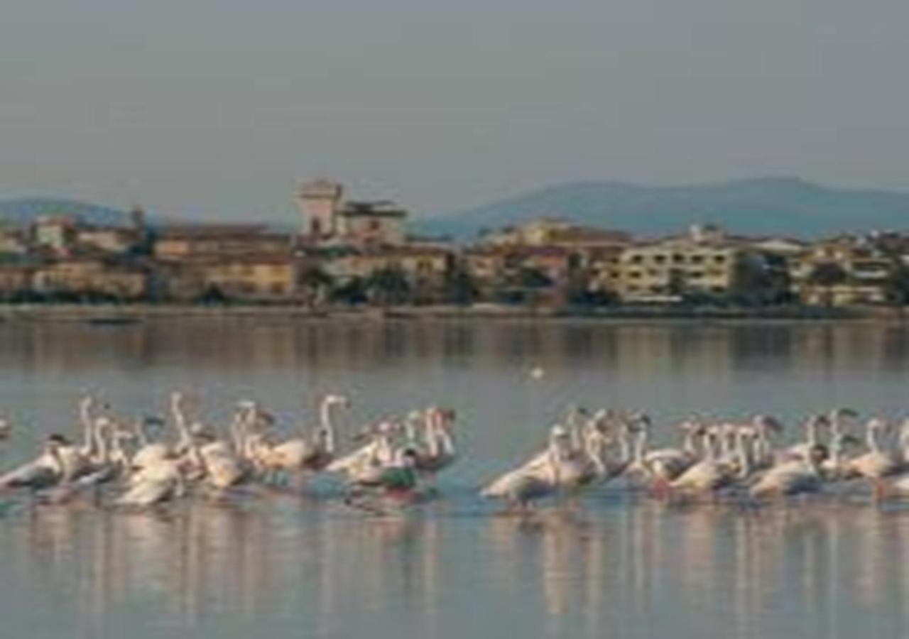 Villa App - Il Fenicottero Con Parcheggio Gratuito Ad Orbetello Exterior foto